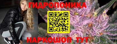mdpv Севастополь