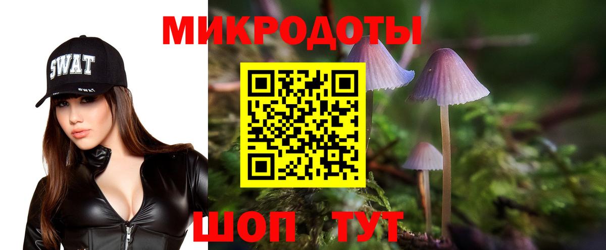 Ярцево  Псилоцибиновые грибы MAGIC MUSHROOMS  Вход с VPN  Галлюциногенные грибы MAGIC MUSHROOMS 